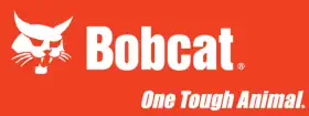 bobcat